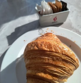 Bistro Coe: A Must-Visit Culinary Gem in the Heart of Monaco