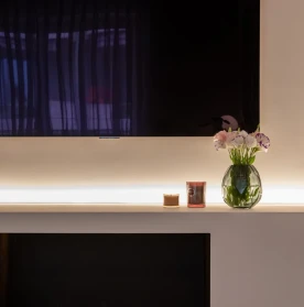 Luxurious Renovated 4-Room Penthouse