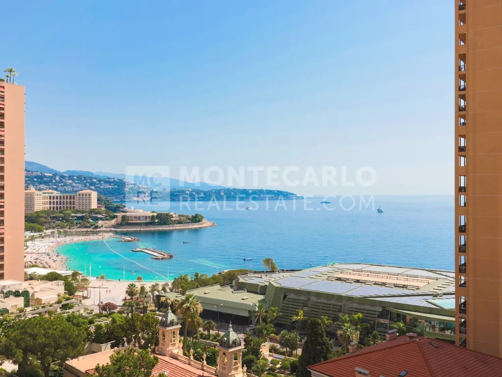 SUMPTUOUS APARTMENT COMPLETELY RENOVATED
